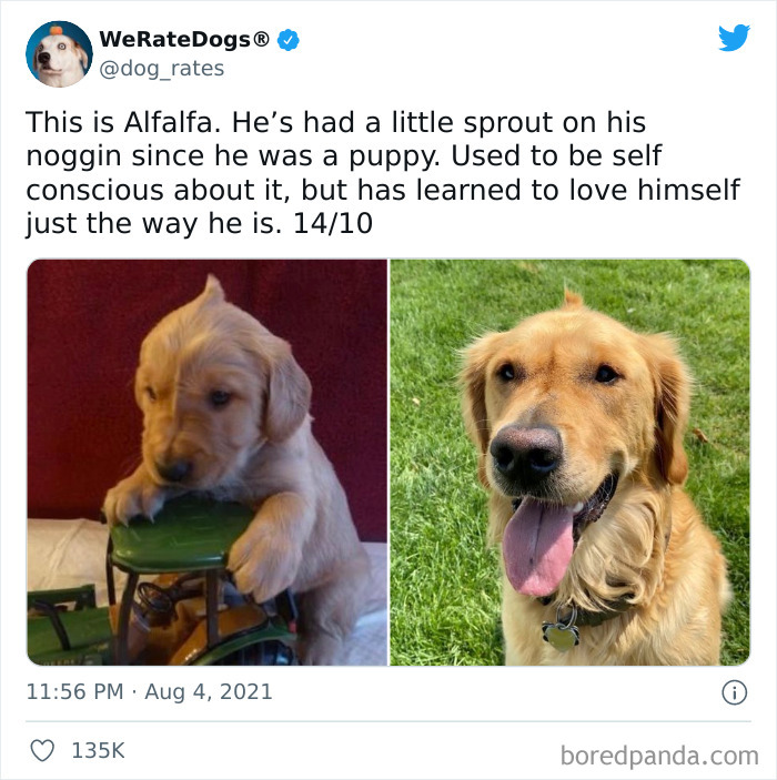 缇庡浗灏忓摜鐐硅瘎瑙嗛,缇庡浗灏忓摜鐐硅瘎