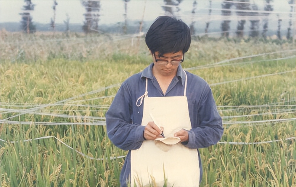 从吃饱到吃太饱,从吃饱到吃好餐桌变化
