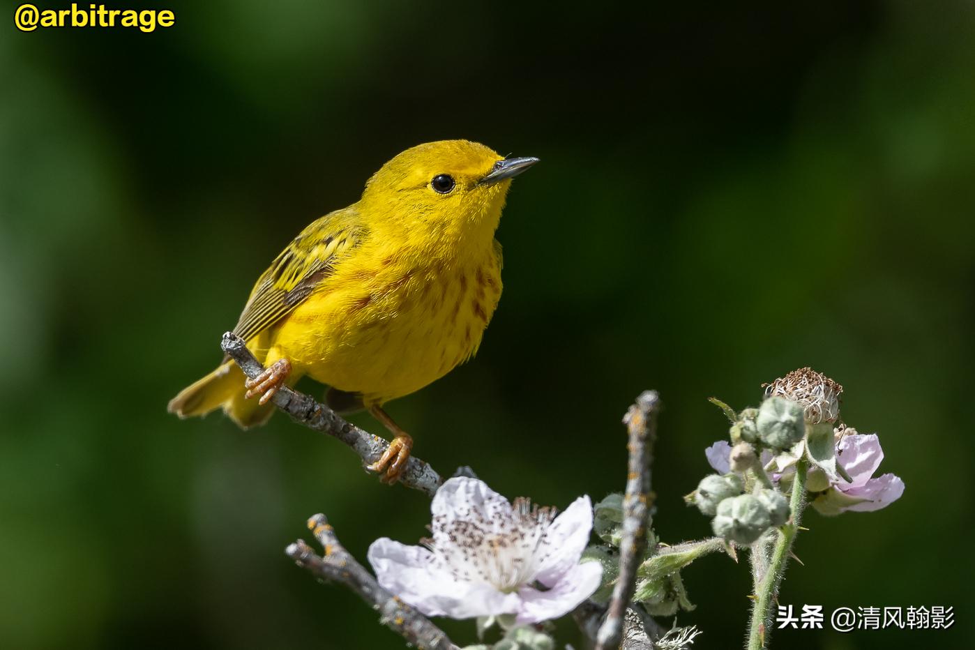 尼康d850拍照有多强,摄影器材篇尼康d850
