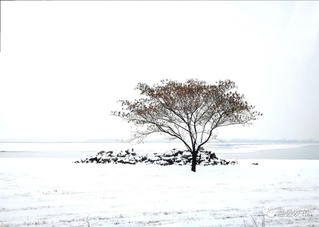 来这里邂逅最美秋韵,焦作温县玩雪