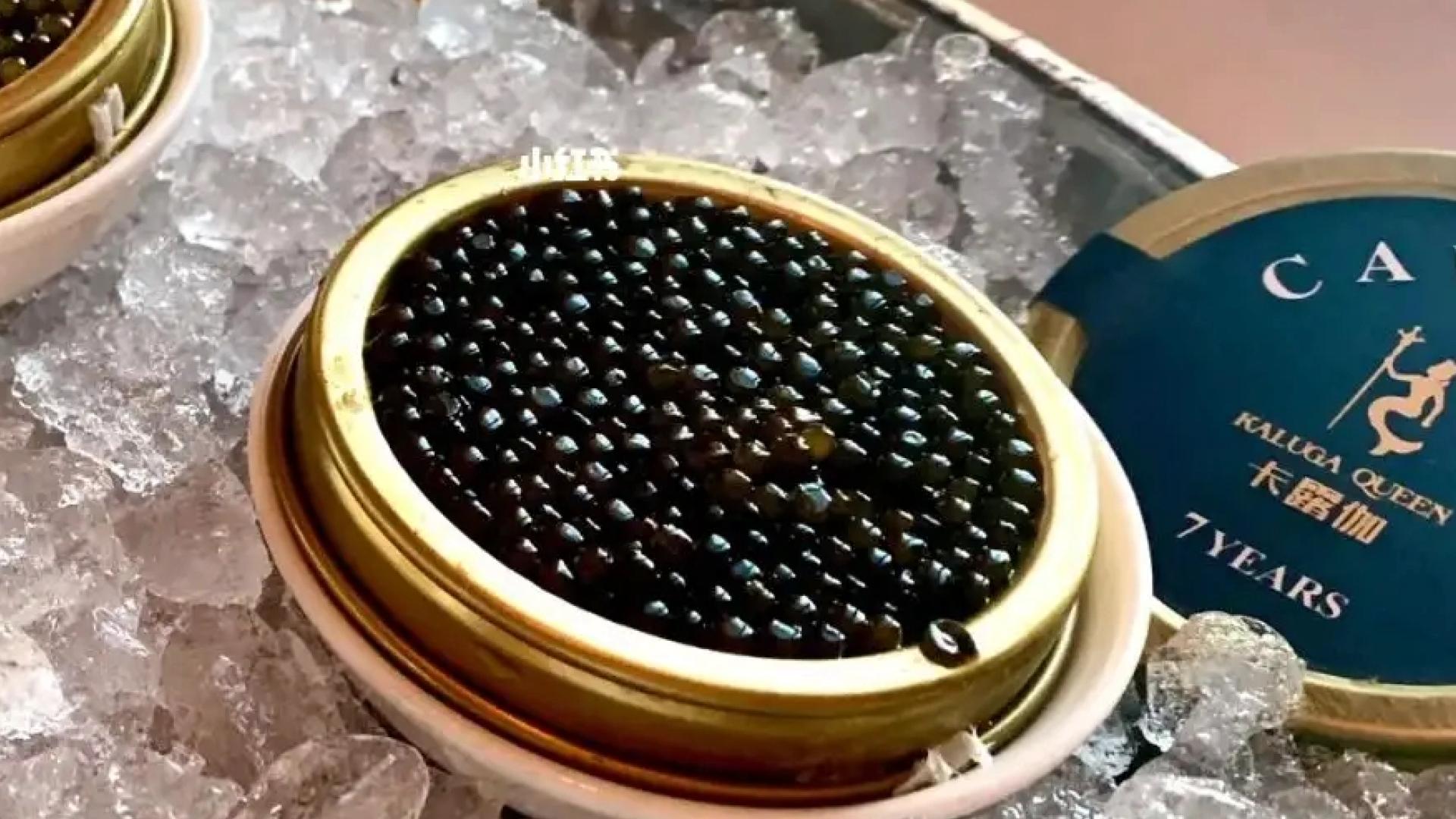 科学告诉你鱼子酱为什么这么贵,顶级鱼子酱为什么这么贵