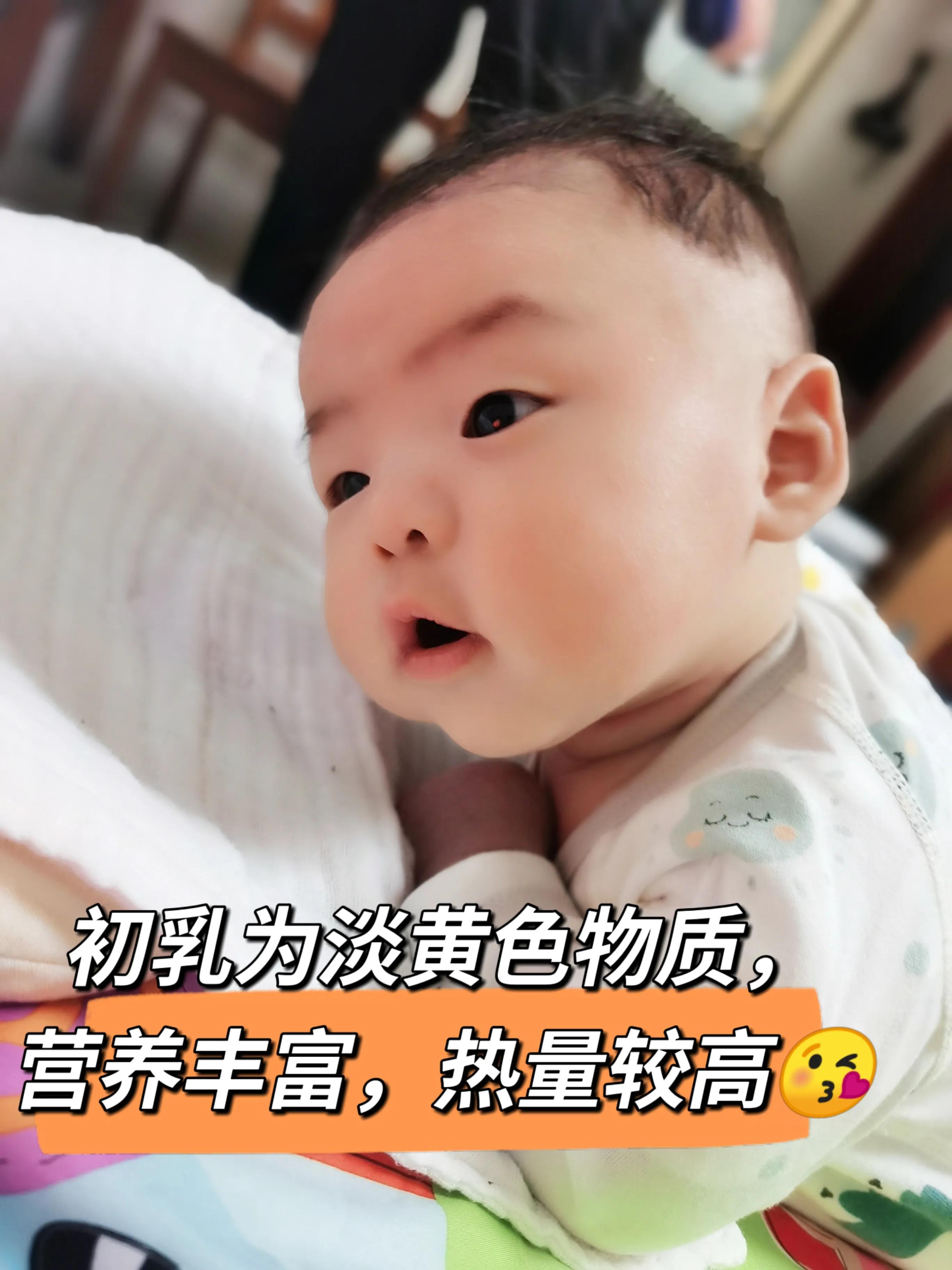 啥是牛初乳,什么是真正的牛初乳