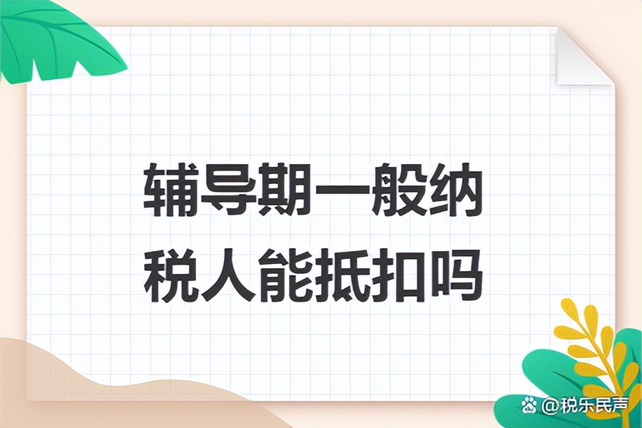 增值税纳税人辅导期管理,增值税风险纳税人管理办法