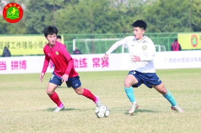 双新示范校工作汇报,双新示范校实施方案