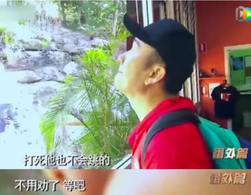 筷子兄弟王太利肖央合体,筷子兄弟王太利评价肖央