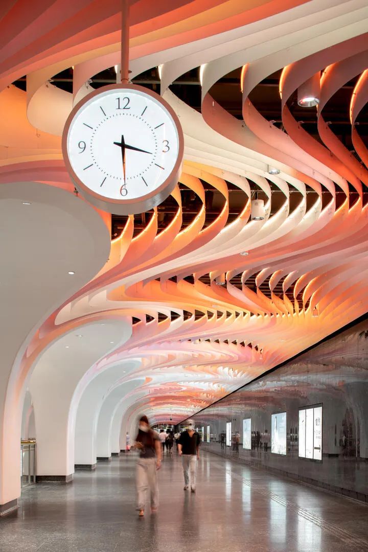 上海市白玉兰荣誉奖,上海白玉兰荣誉奖2020