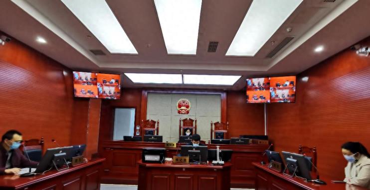 被强制抓进精神病院怎么打官司,河南农妇被关精神病院