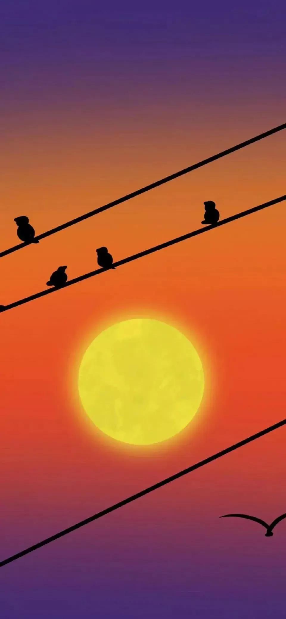 歼20高清壁纸4k全屏无水印,精选壁纸高清无水印高级感