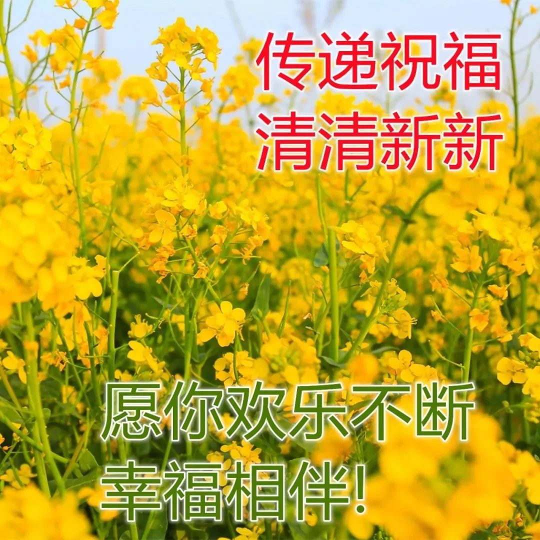 早安问候朋友带字最美图片,4月28日早安问候图片文字