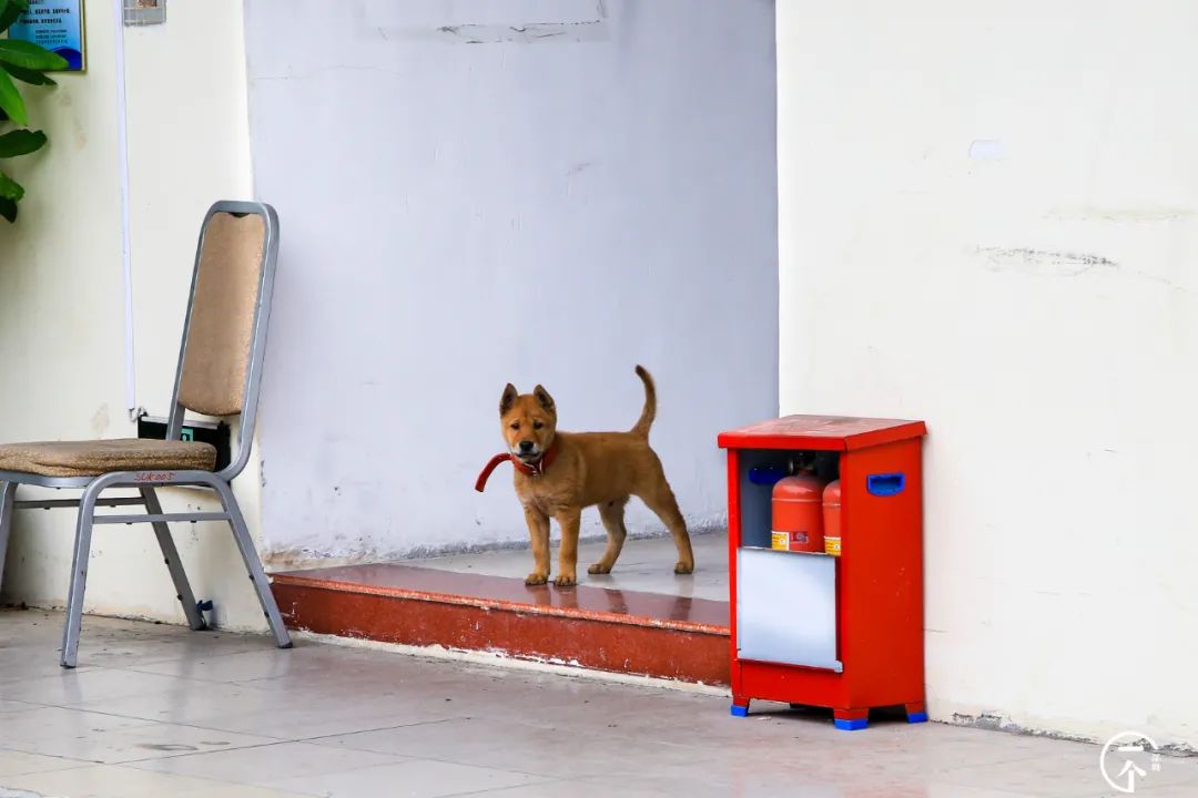 深圳航空空少乘务员,空姐空少乘务员