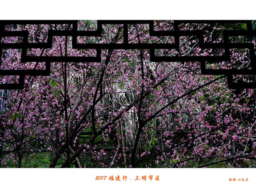 山海人画廊,山海画廊福建省