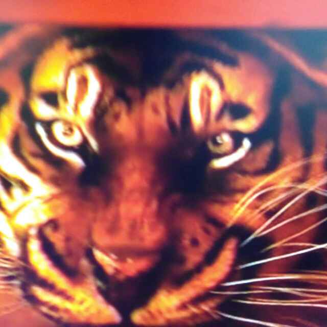 有满江红文字的图片,满江红的插图