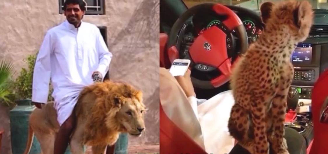 如果石油枯竭沙特会一直壕下去吗,沙特真的只靠石油赚钱吗