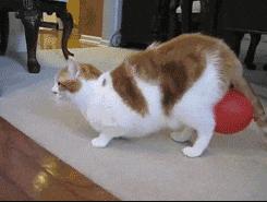 99%的人都不会正确擦屁股,带薪拉屎必看!