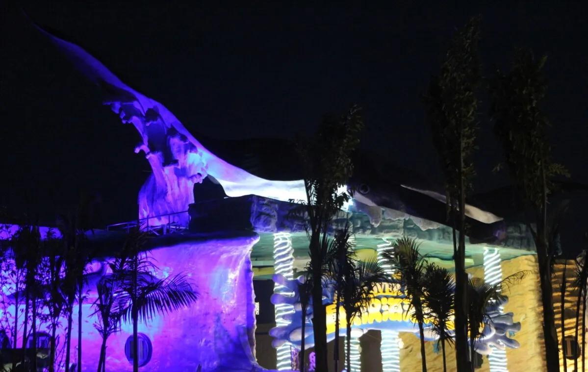 海洋盛宴,重庆极地海洋公园潜水攻略