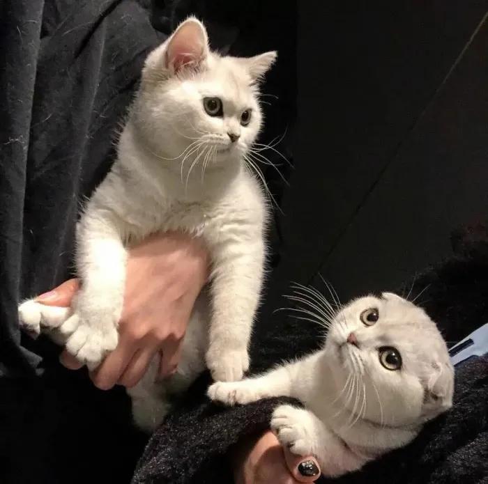 让人忍不住评论的文案搞笑,让人忍不住评论的文案短句