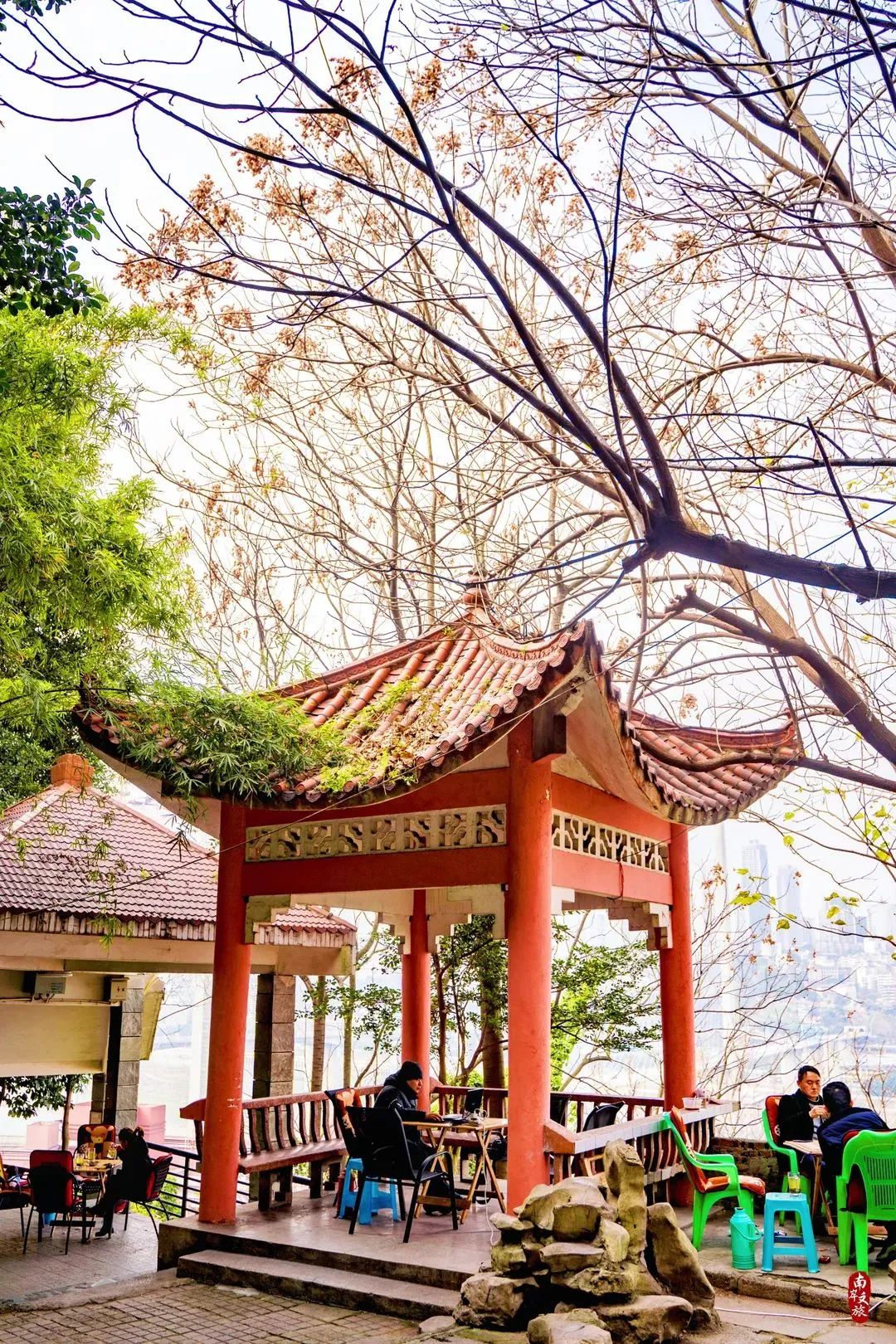 邂逅南岸的100个瞬间,推荐一个好地方南岸公园