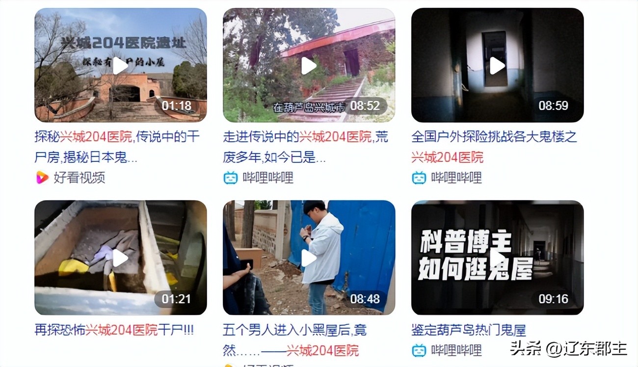 兴城204医院真实事件,兴城204医院的前世今生