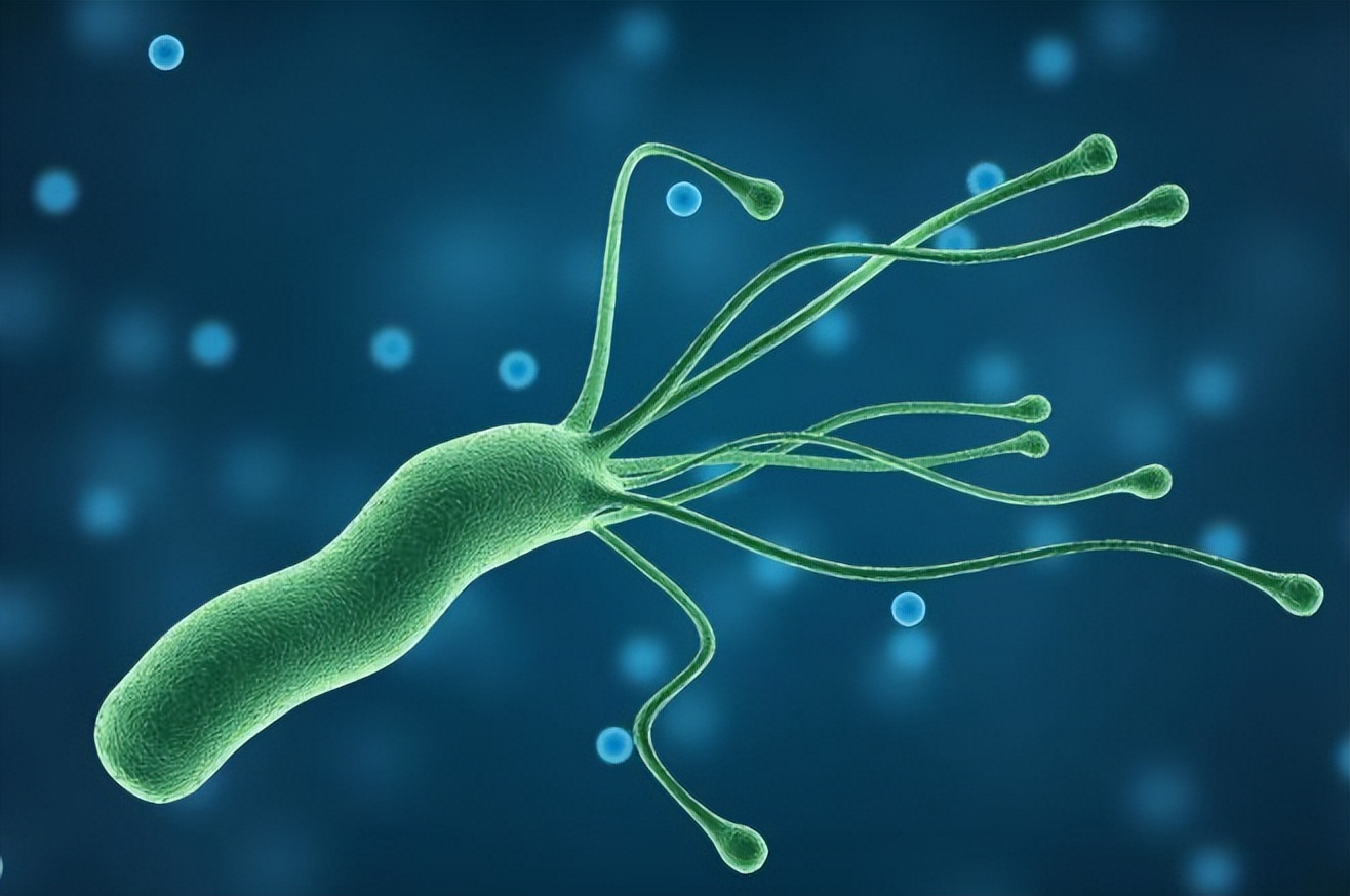 阿莫西林对哪五种病治疗好,阿莫西林要认清只对这4种病有效