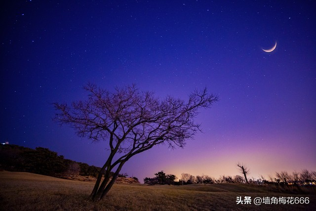 当年我家开饭店，他每天拿着小鱼来换包子，30年后，他又找上门了