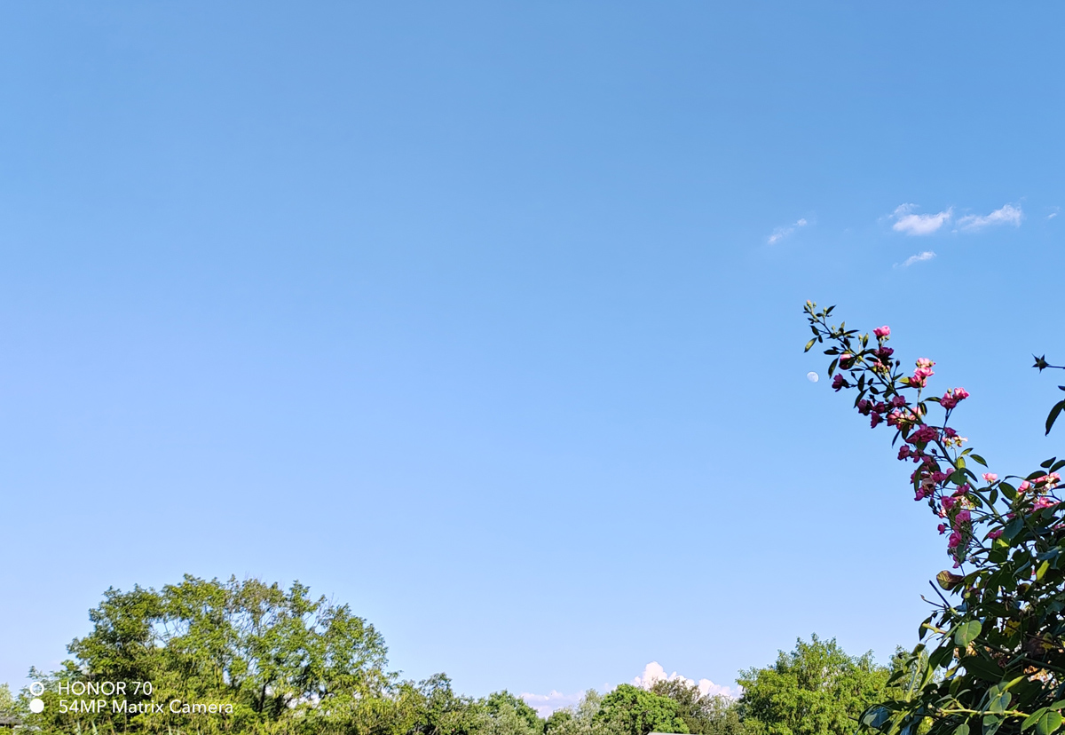 荣耀70评测：颜值才华兼备，旗舰IMX800要你好看，五星好“屏”