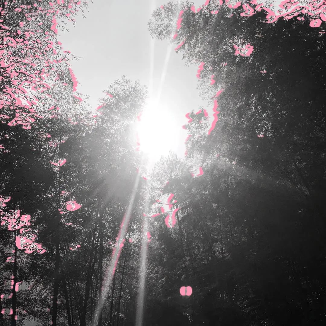 高级小众背景图片图集,小众背景图治愈丧