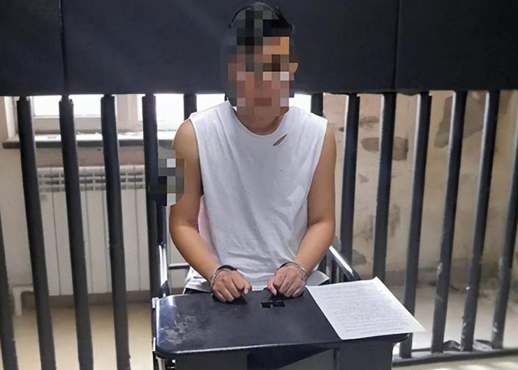 孕妇被捅6刀嫌犯结局,孕妇被捅6刀是真实事件吗