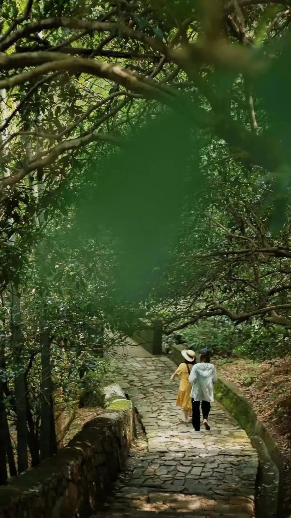 适合夏天避暑旅游的地方,适合夏天避暑的旅游地方