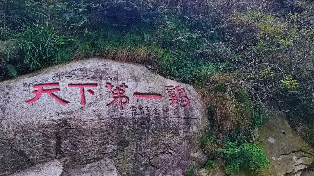 信阳南湾湖一日游详细攻略,信阳三日游攻略路线