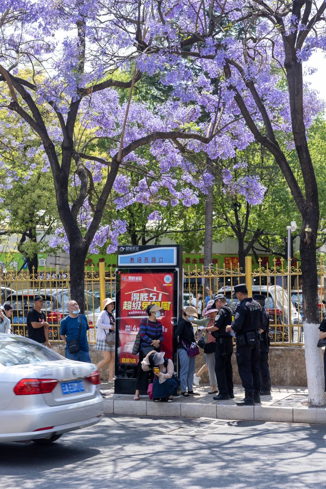 芸儿美美美美美,美美美美美美美英文