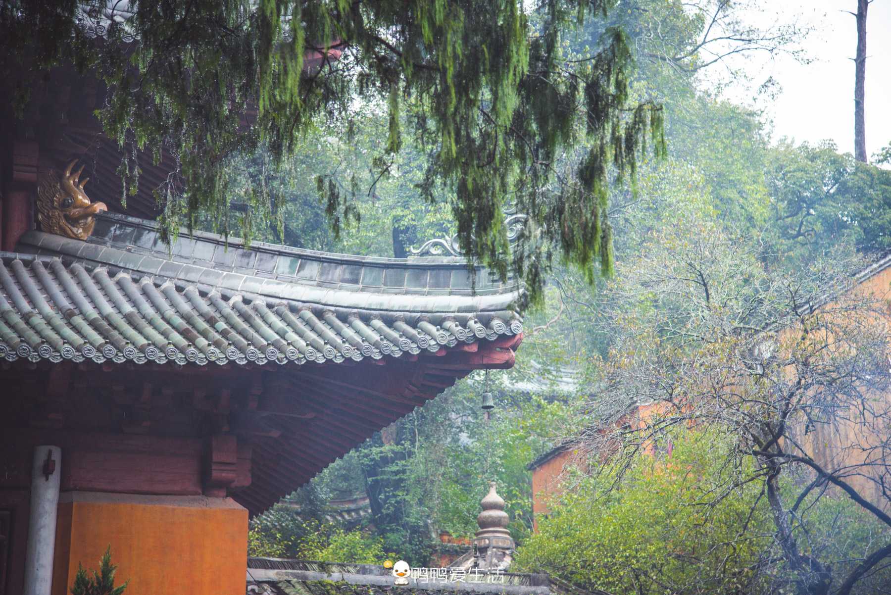 浙江国清寺诵经,浙江天台山国清寺