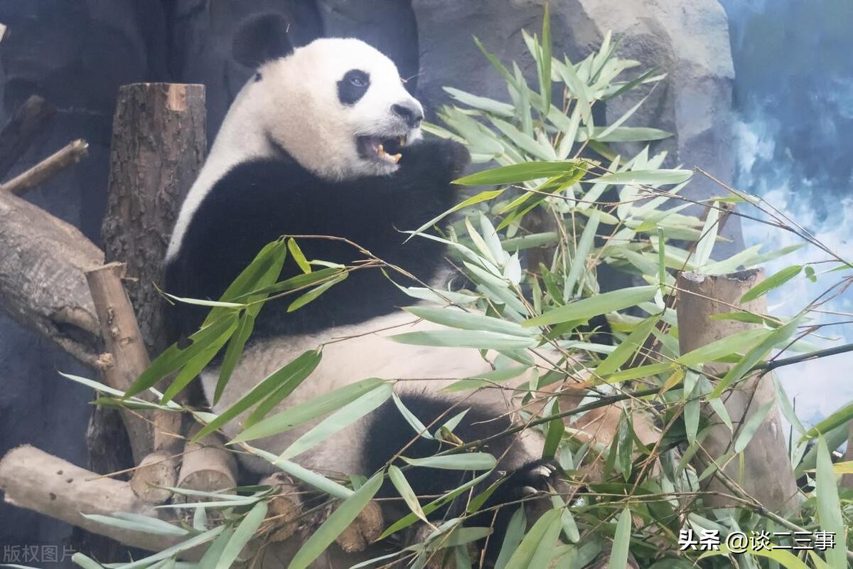 成都带孩子必去十大景点,成都金堂十大旅游景点