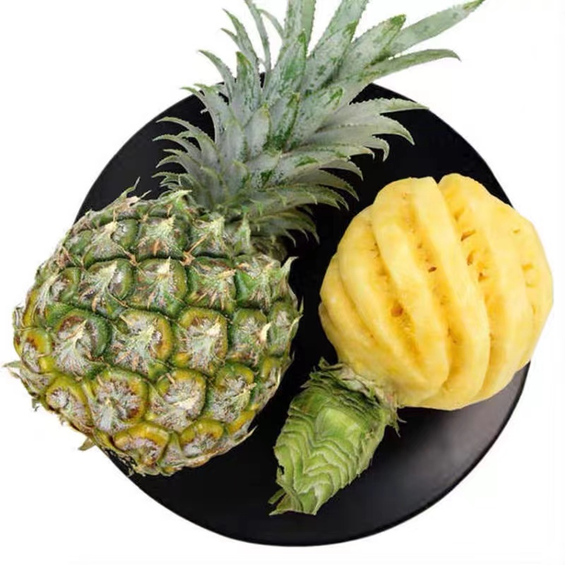 带你认识热带植物,带你认识水果