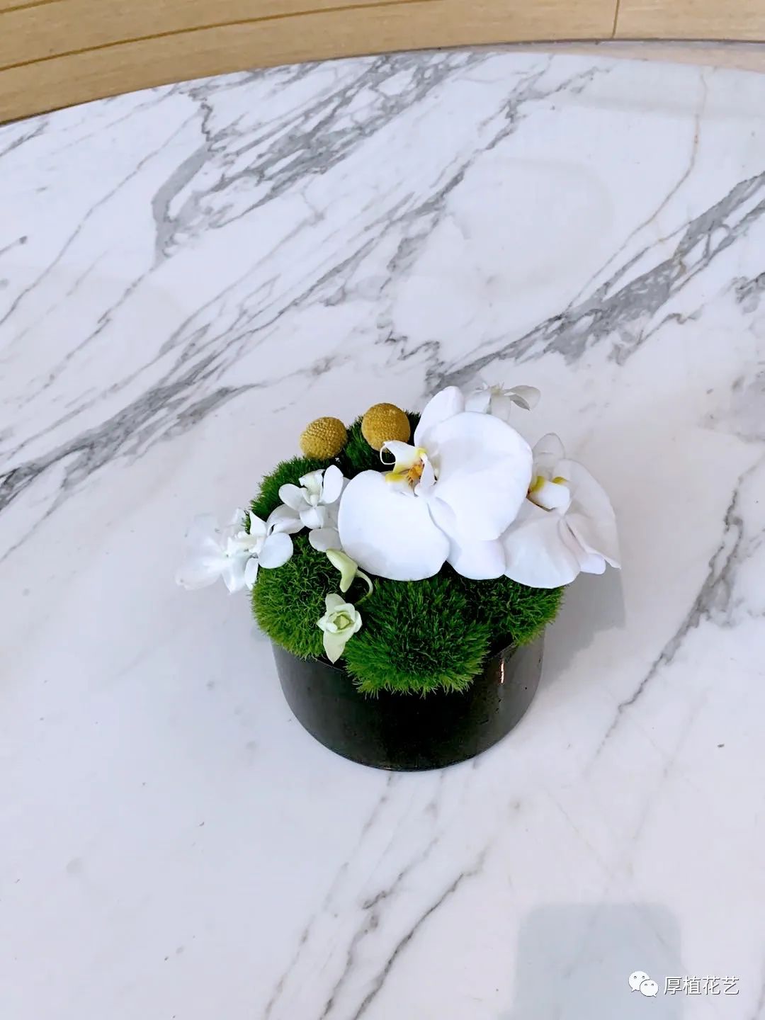 商务前台鲜花,前台花选择