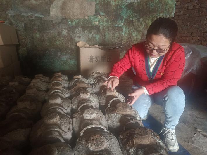 醉渌香:“老酒”出新等风口