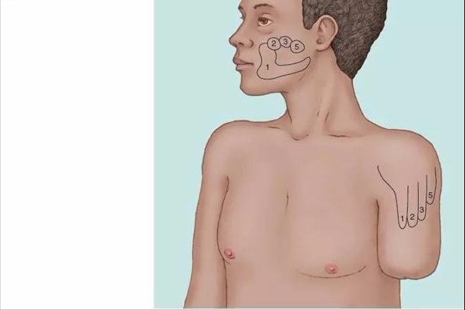 幻肢、恋足是心理出现问题吗？这些行为的背后大脑都有解释