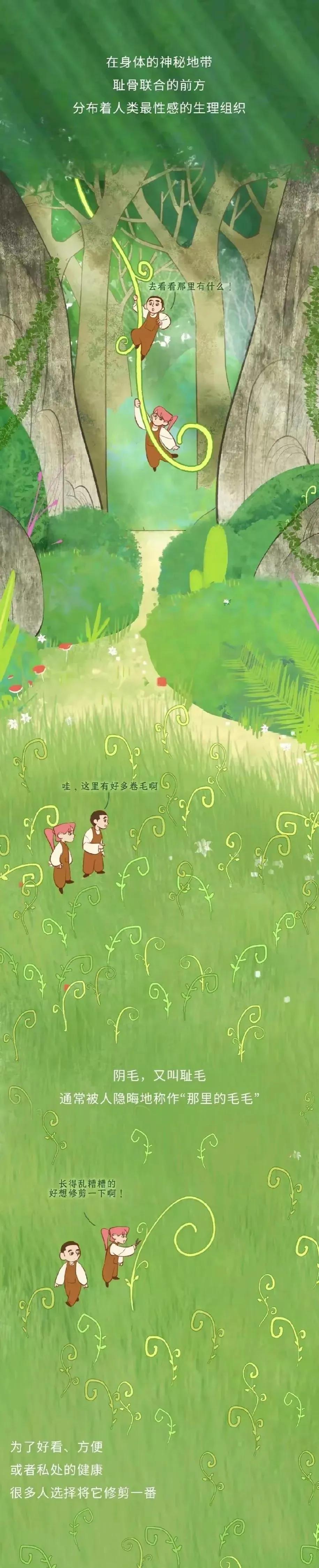 人类阴毛从出生到脱落的全过程