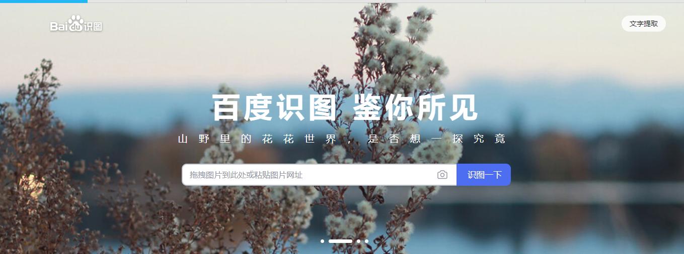 景观设计的地图都是哪里的,景观设计平面地图