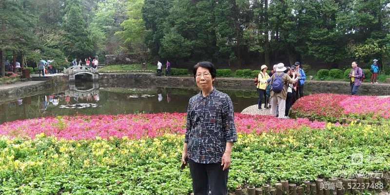 以文会友的家50后群（10）留言集锦“1”