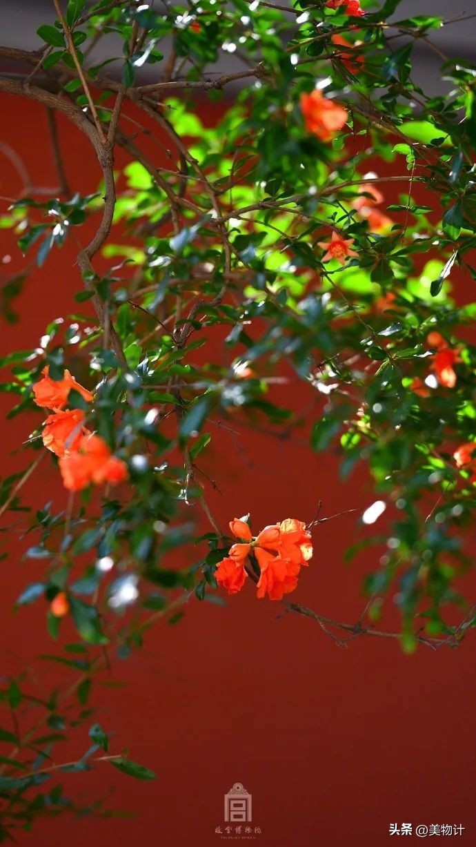 五月暮春的诗句,五月暮春四月仲春