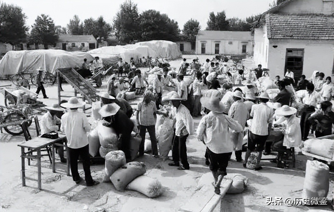 1990年，老农因儿子参军落选，拿出小学课本说：里面的烈士包括我