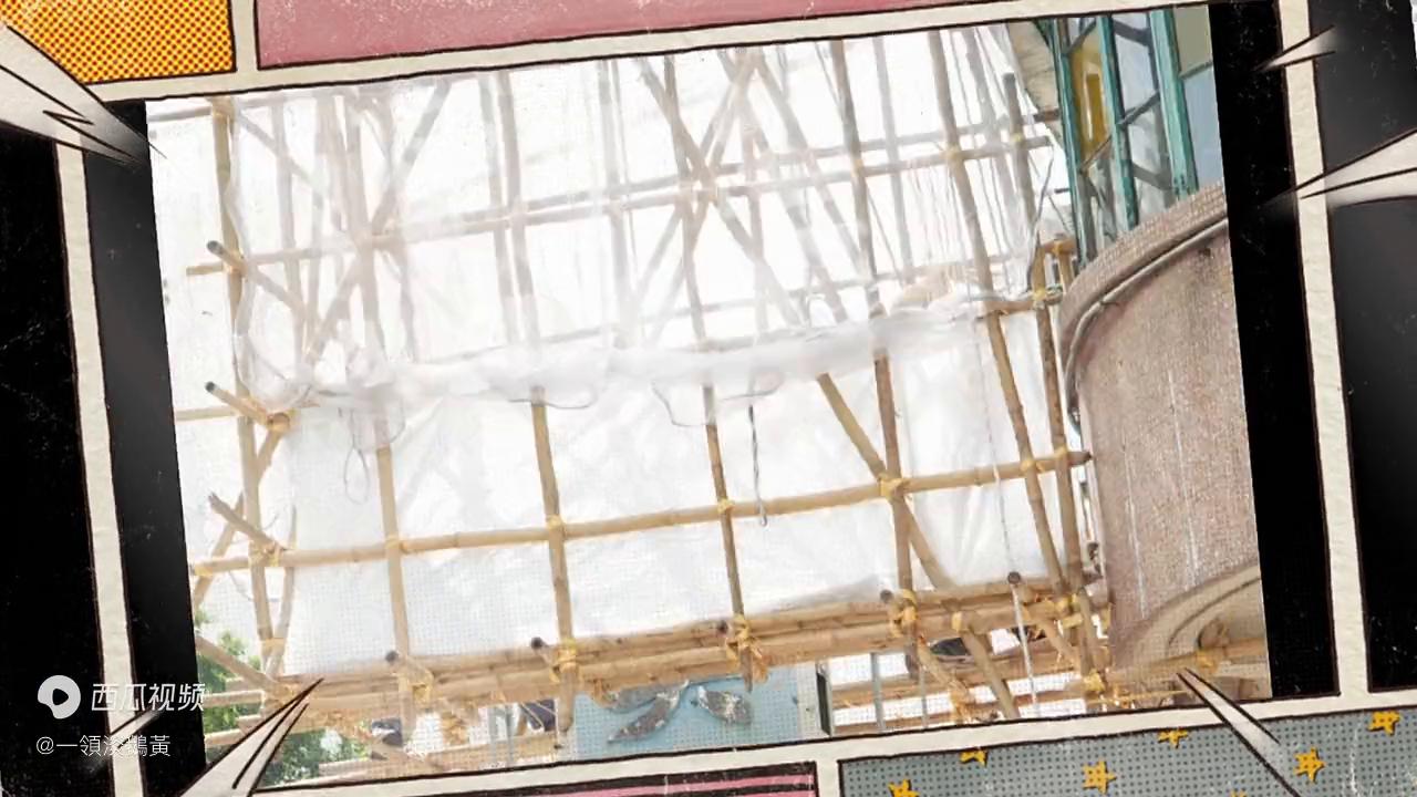 棣欐腐瑕佹媶鍏夐湏铏规嫑鐗岋紵瀹樻柟杈熻埃,棣欐腐瑕佹媶鍏夐湏铏规嫑鐗岋紵瀹樻柟鍥炲簲