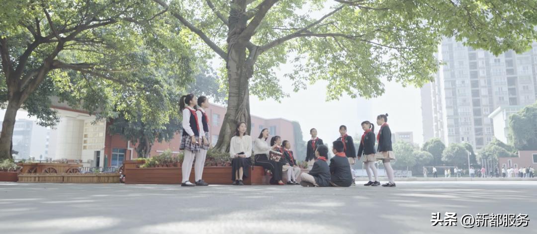 新都新建6所学校,新都市区重点学校