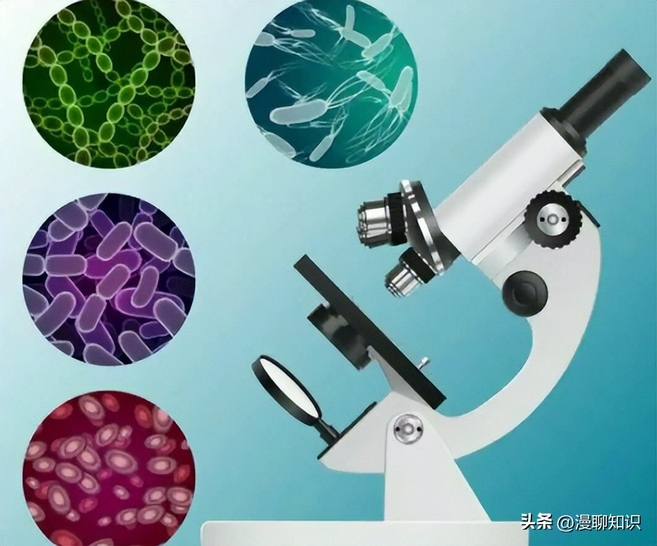 马传染性子宫炎传染性较强，它的传播途径有哪些