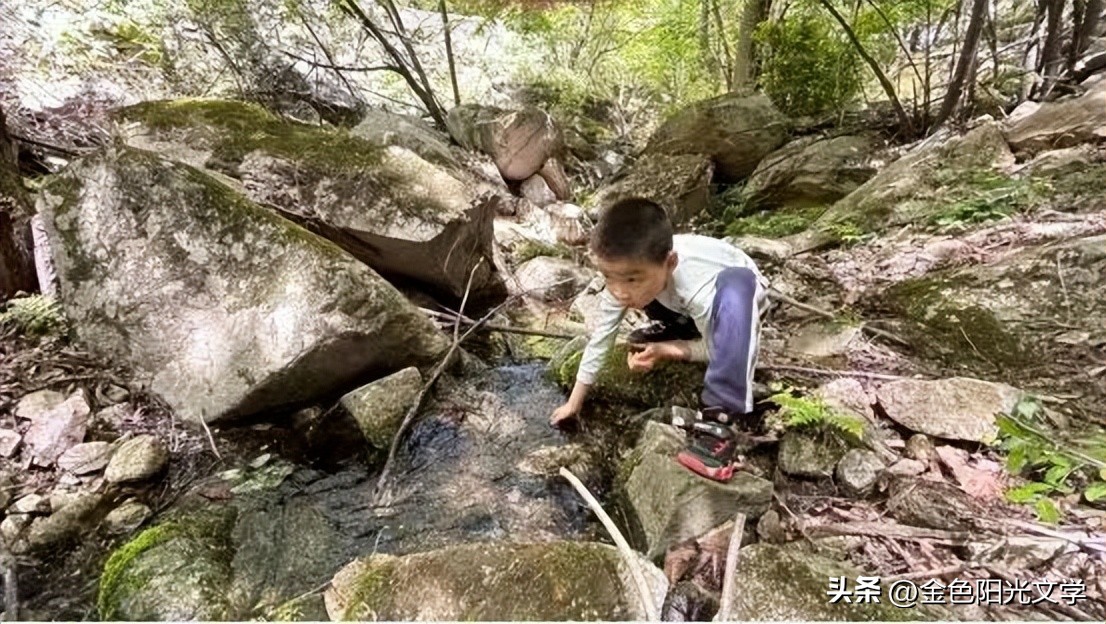 南阳周边游老君山,南阳恐龙遗迹园旅游攻略