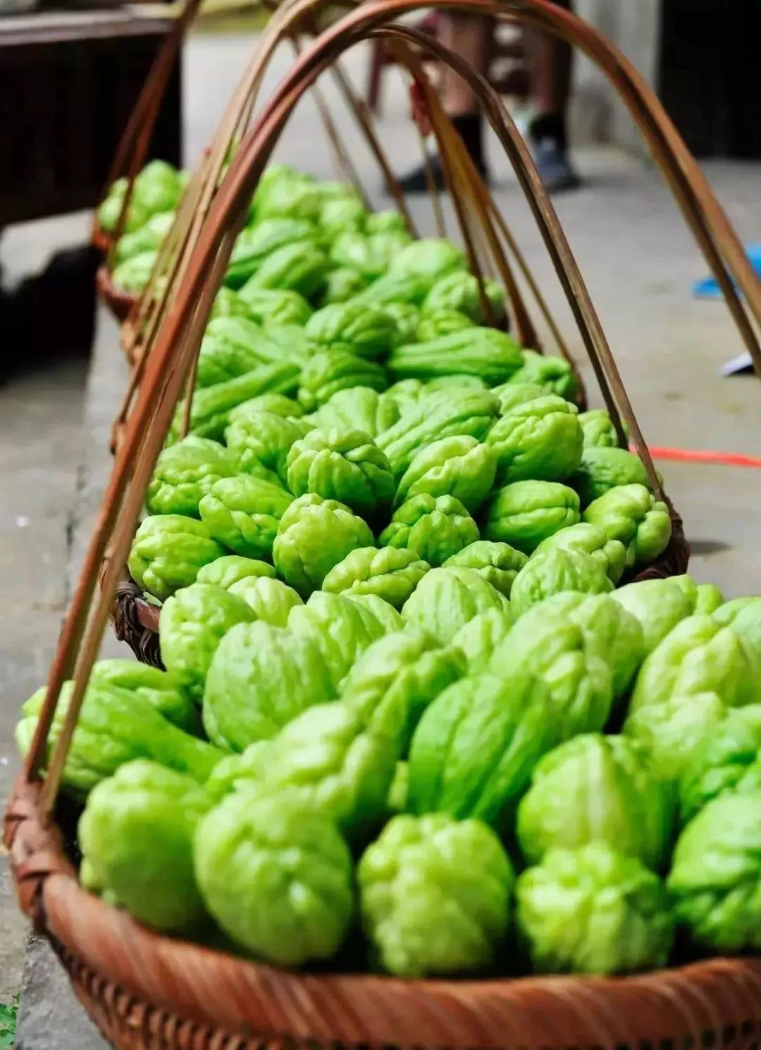 月游闽侯│七月-塘里洋里春园鲤,沉浸闽侯清凉里!