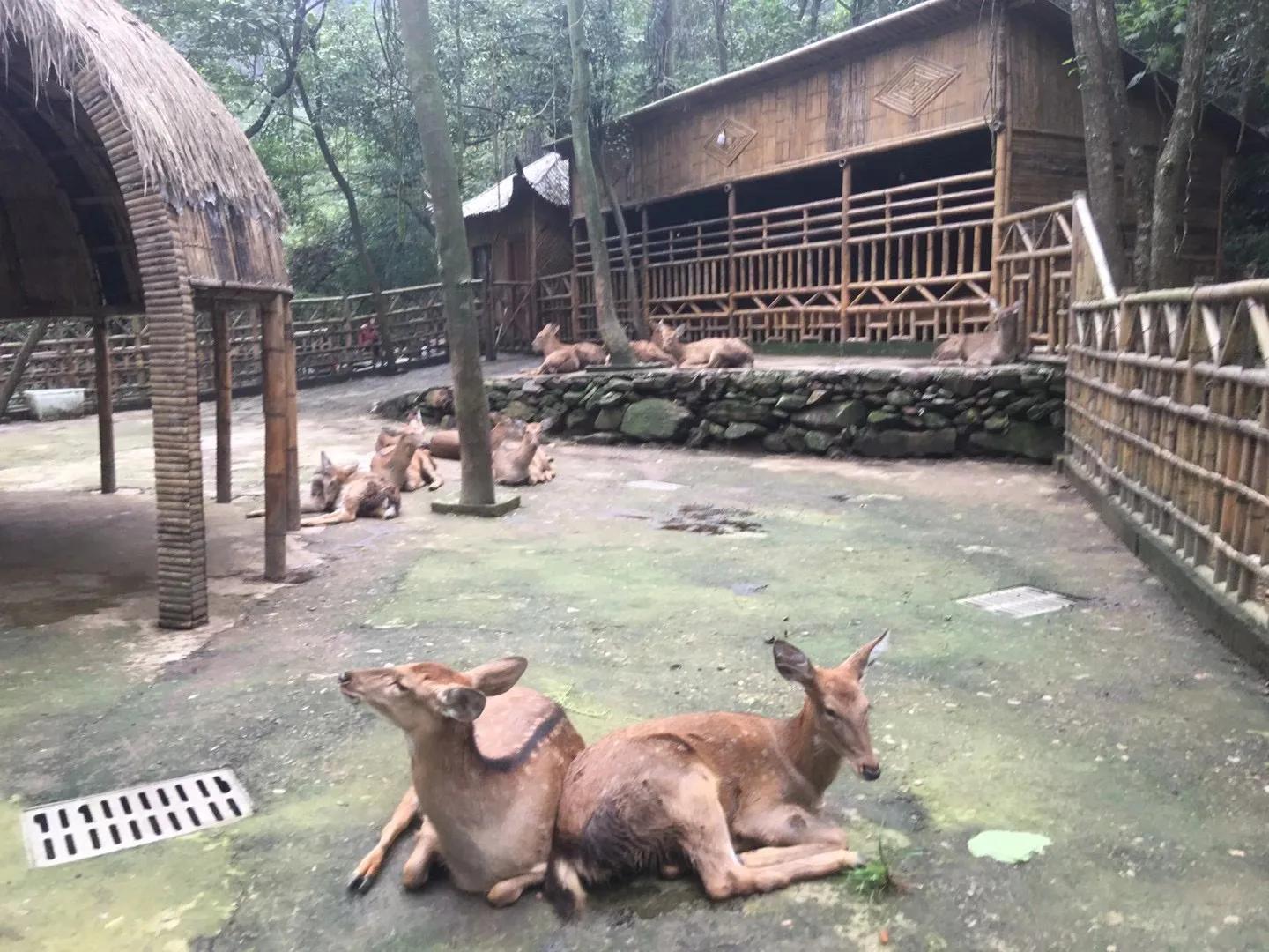 江西西海大峡谷完整视频,江西西海大峡谷