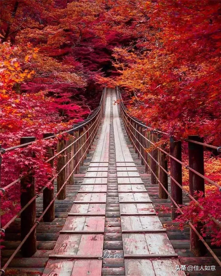 婚姻是女人的第二次生命是对的吗,婚姻是女人的第二次命运