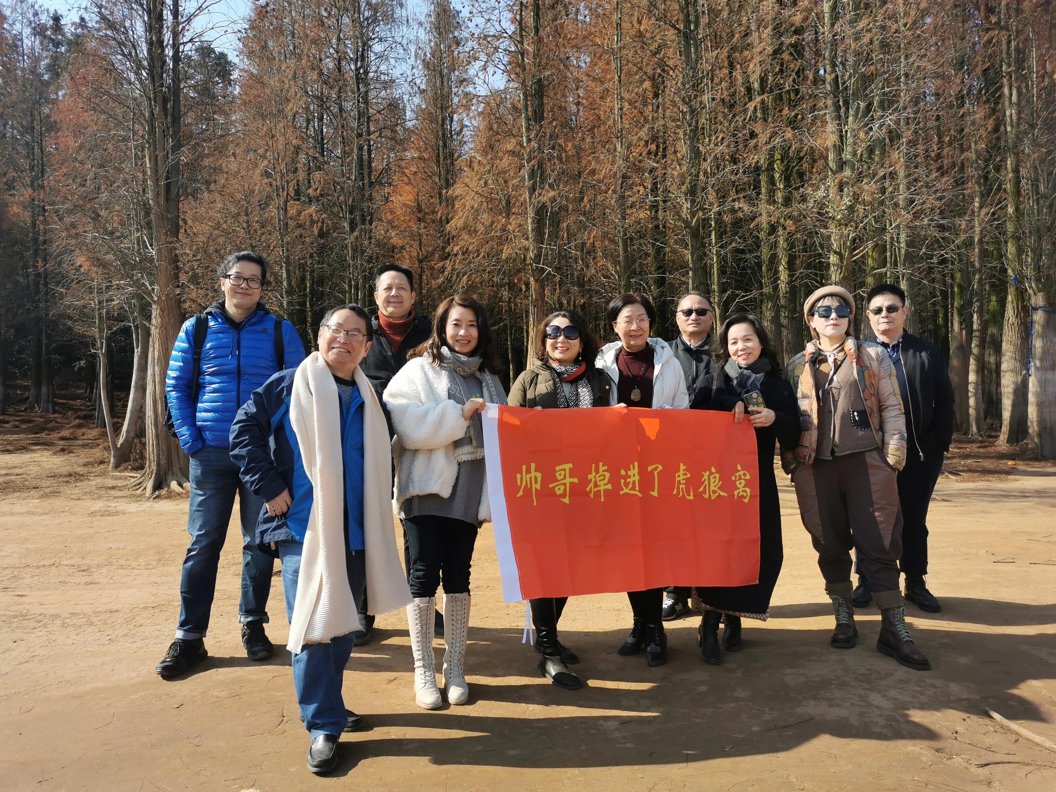 红杉林之恋,红杉林之恋完整版