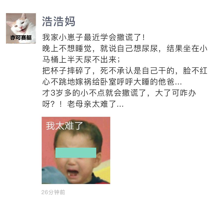 爱撒谎的孩子情商高视频,爱撒谎的孩子智商